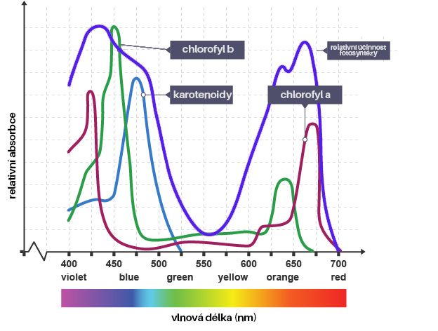 Plnospektrální GROW LED modul - Plnospektrální LED modul podporuje funkce fotosyntézy